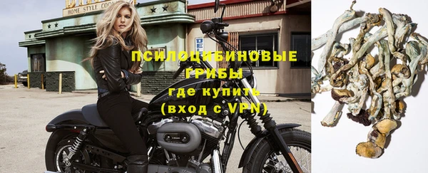 герыч Вяземский