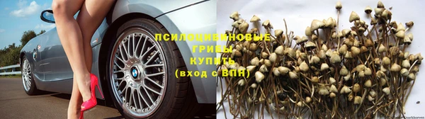jwh Вязьма