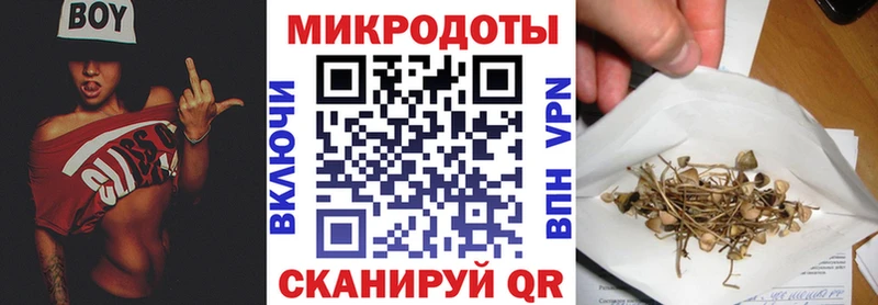 Псилоцибиновые грибы мицелий  Новочебоксарск 